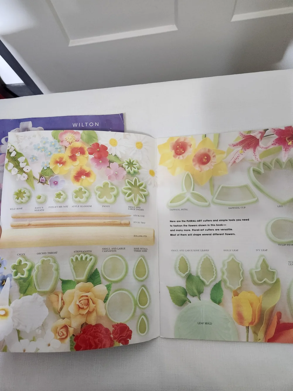 Wilton Tiered Cakes-2005 & Gum Paste Flowers Book-1984
